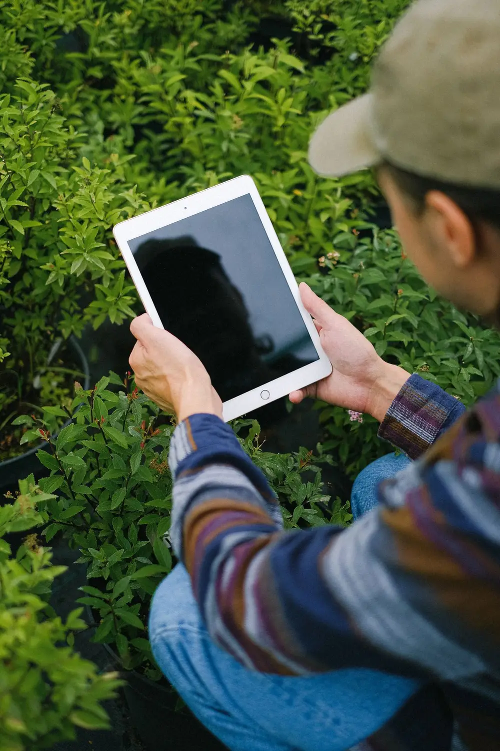 Agricultura de precisión con monitoreo técnico de cultivo en campo